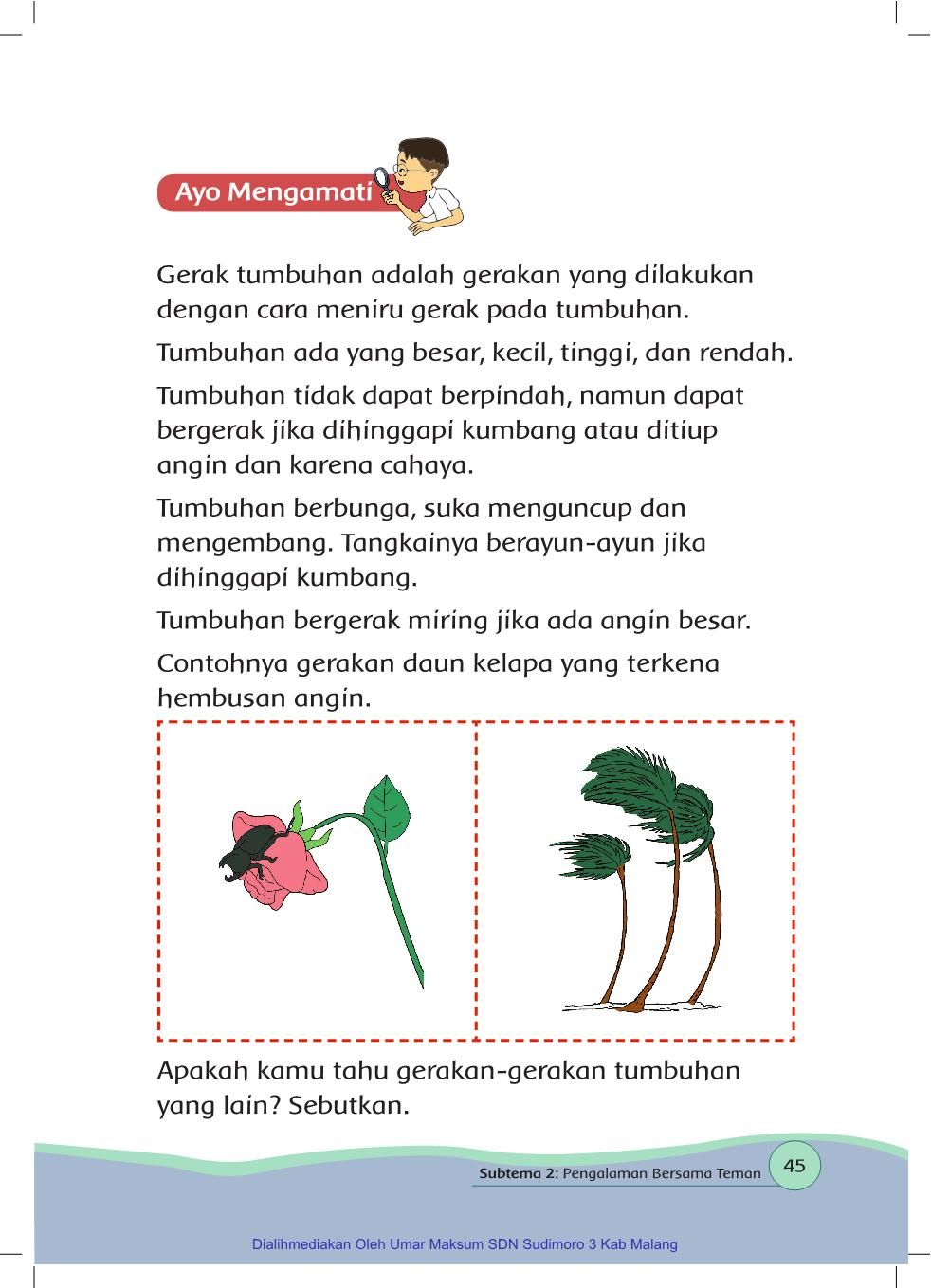 Detail Contoh Tumbuhan Bergerak Nomer 41