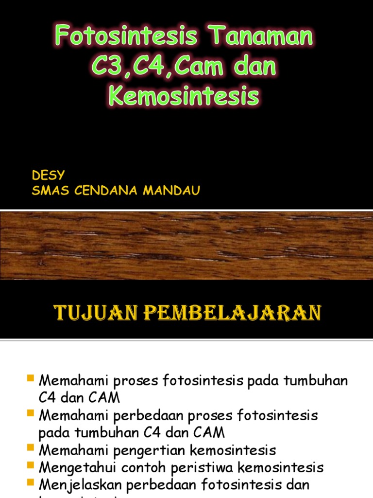 Detail Contoh Tumbuhan Cam Nomer 54