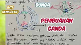 Detail Contoh Tumbuhan Pembuahan Ganda Nomer 38