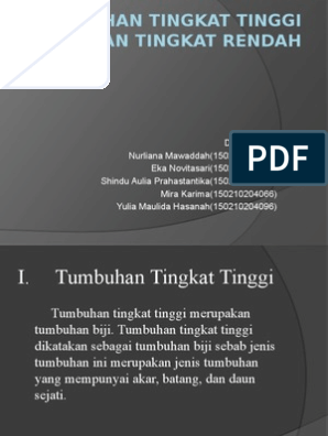 Detail Contoh Tumbuhan Tingkat Tinggi Nomer 14