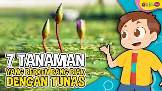 Detail Contoh Tumbuhan Tunas Nomer 33