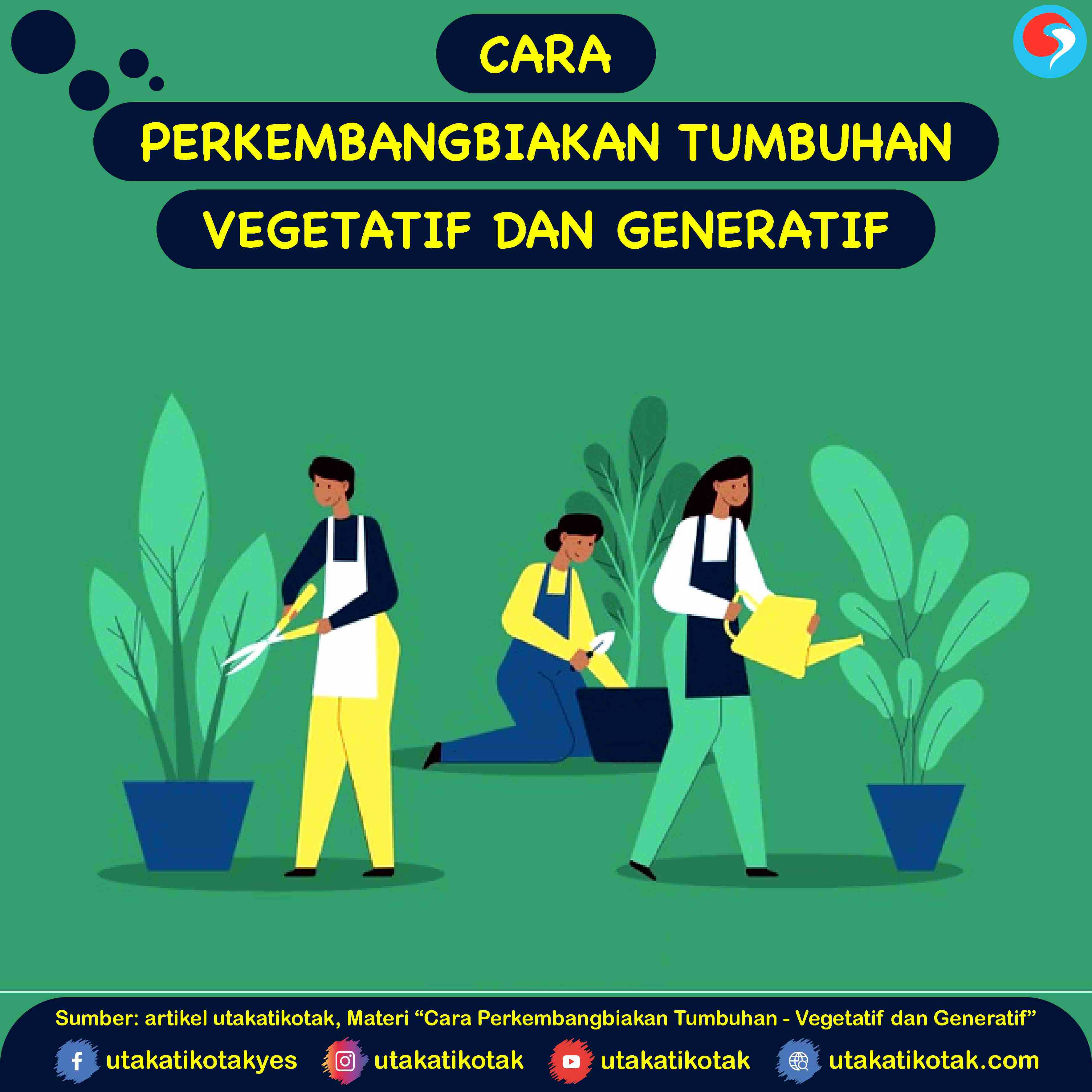 Detail Contoh Tumbuhan Yang Berkembang Biak Dengan Generatif Nomer 55