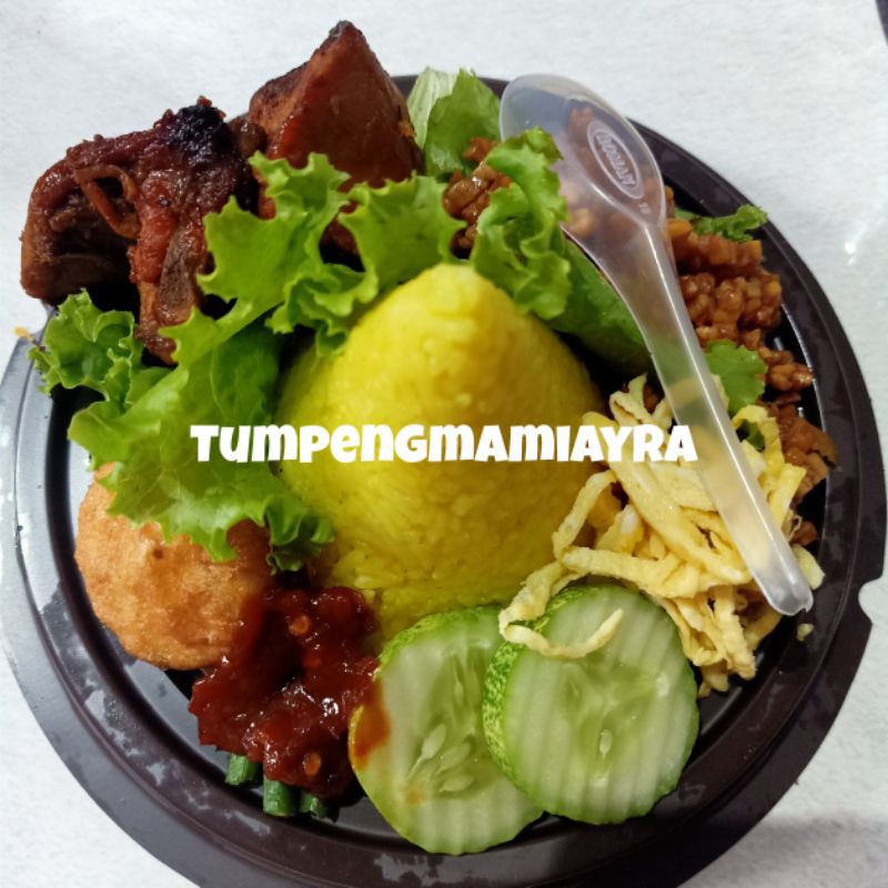 Detail Contoh Tumpeng Mini Nasi Kuning Nomer 38