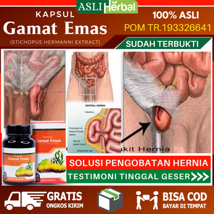 Detail Contoh Turun Berok Nomer 30