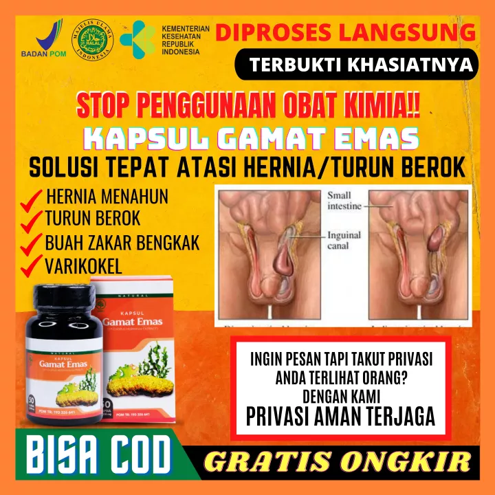 Detail Contoh Turun Berok Nomer 43