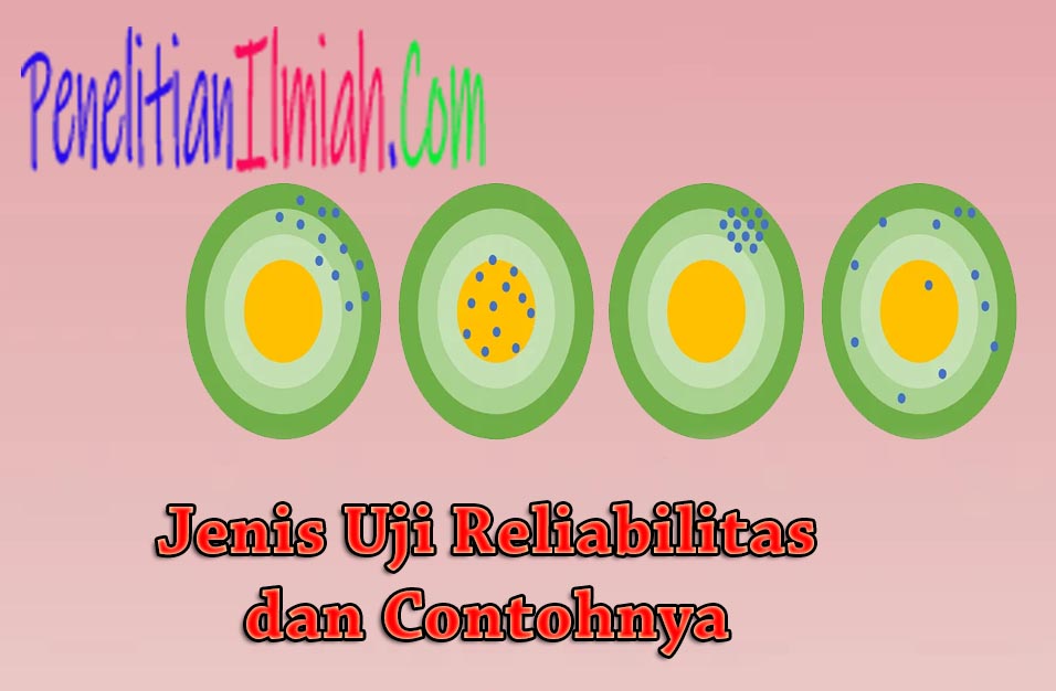 Detail Contoh Uji Reliabilitas Nomer 47