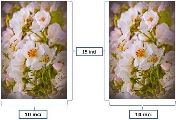 Detail Contoh Ukuran Foto 10r Nomer 28