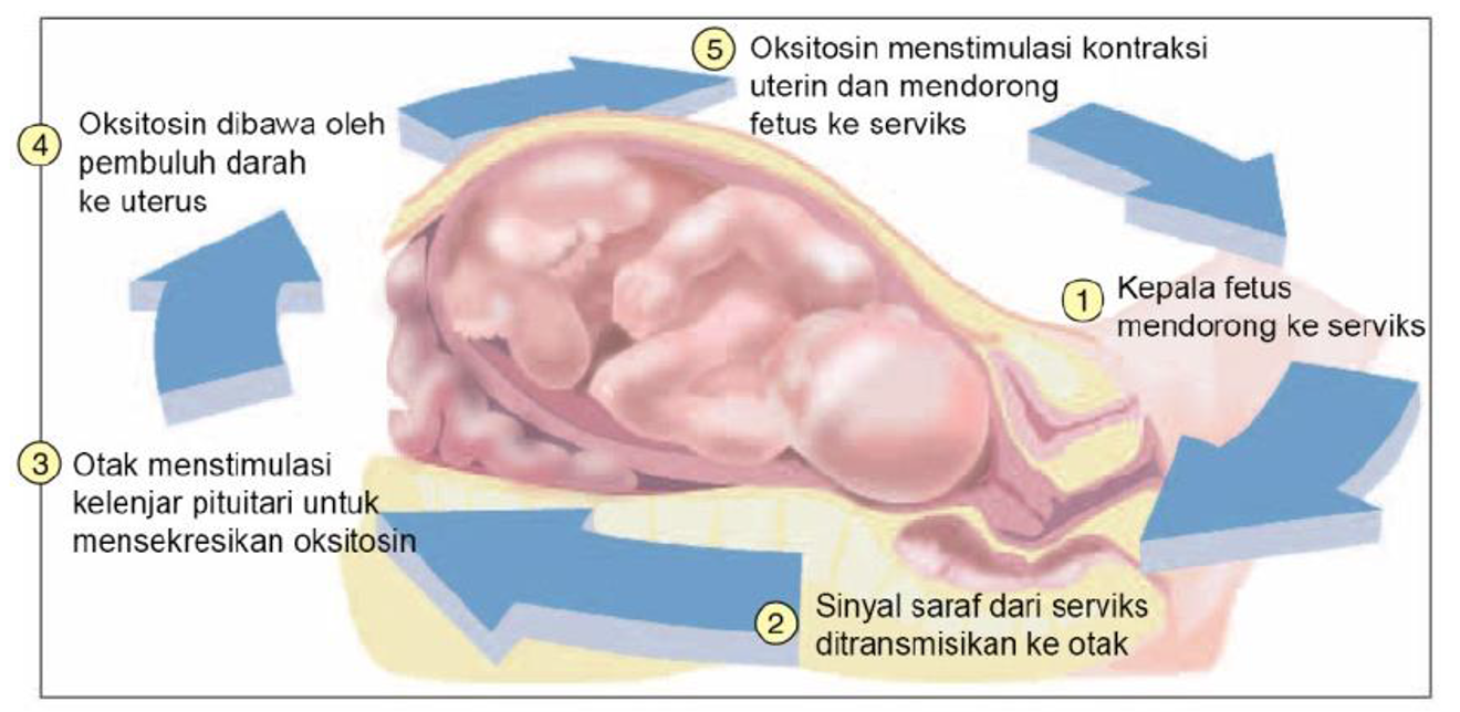 Detail Contoh Umpan Balik Positif Nomer 12