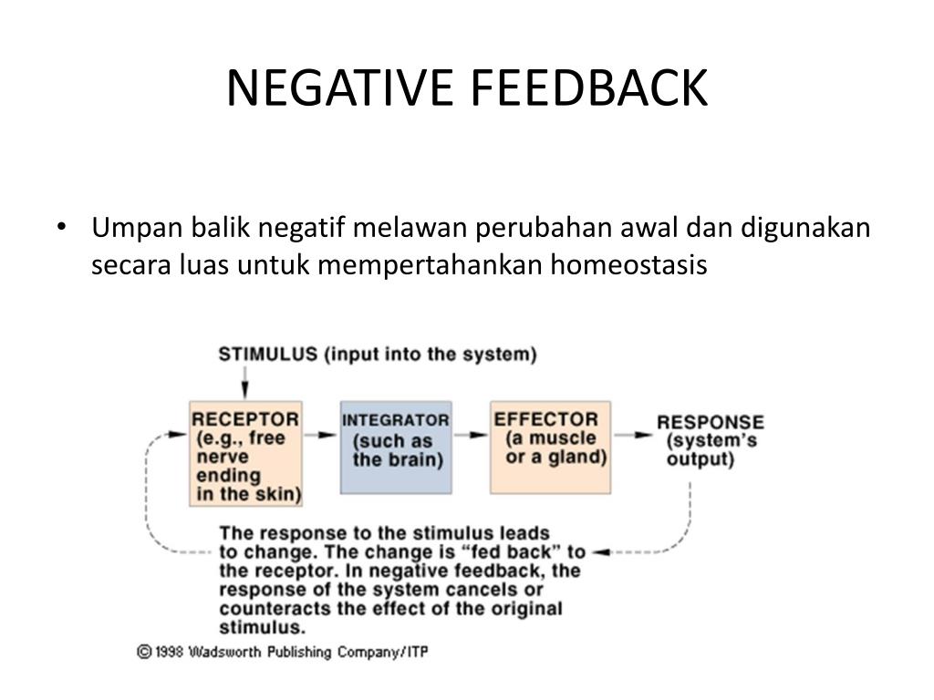 Detail Contoh Umpan Balik Positif Nomer 37