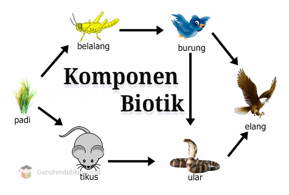 Detail Contoh Unsur Biotik Nomer 2