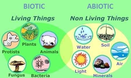 Detail Contoh Unsur Biotik Nomer 3
