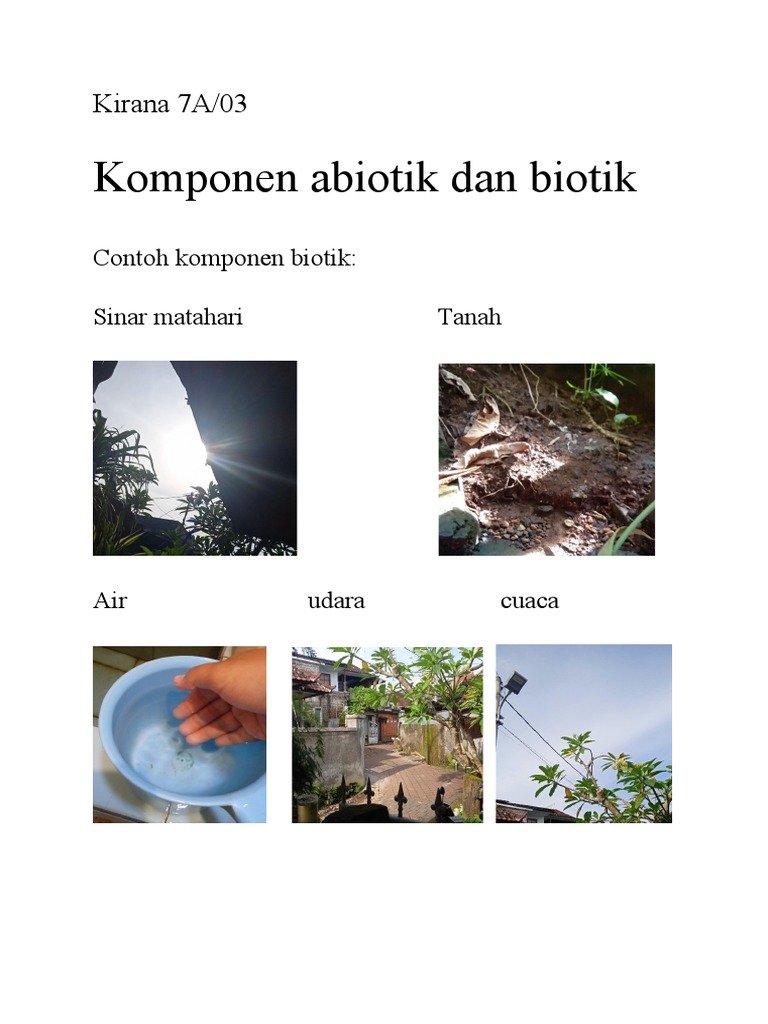 Detail Contoh Unsur Biotik Nomer 30
