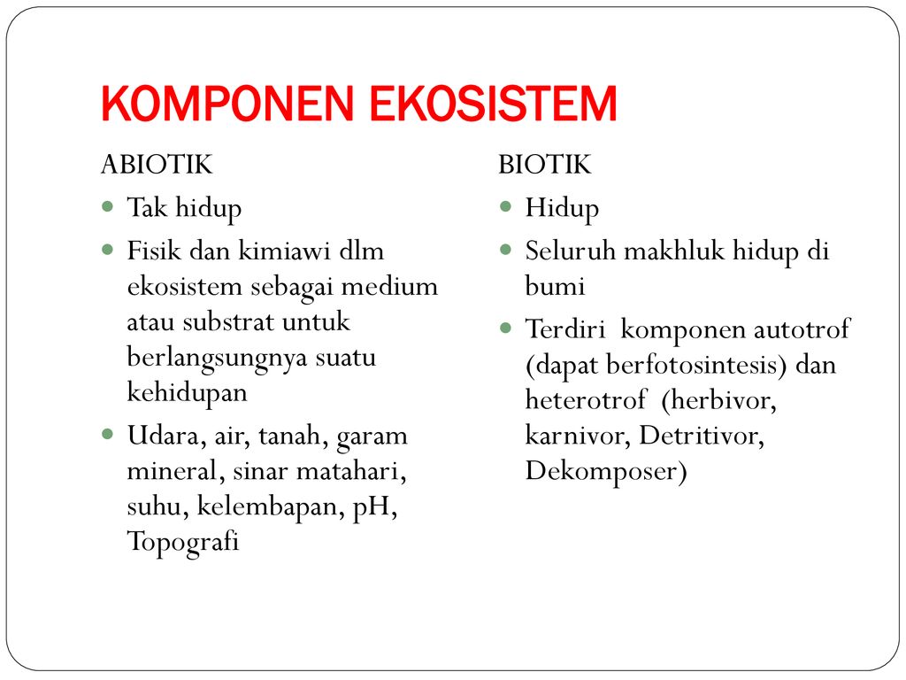 Detail Contoh Unsur Biotik Nomer 39
