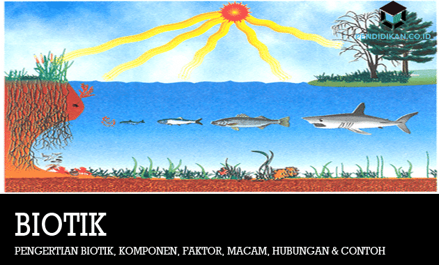 Detail Contoh Unsur Biotik Nomer 44