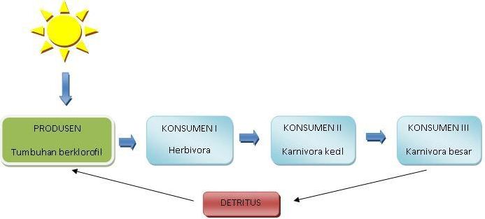 Detail Contoh Unsur Biotik Nomer 48