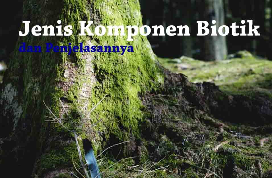 Detail Contoh Unsur Biotik Nomer 57