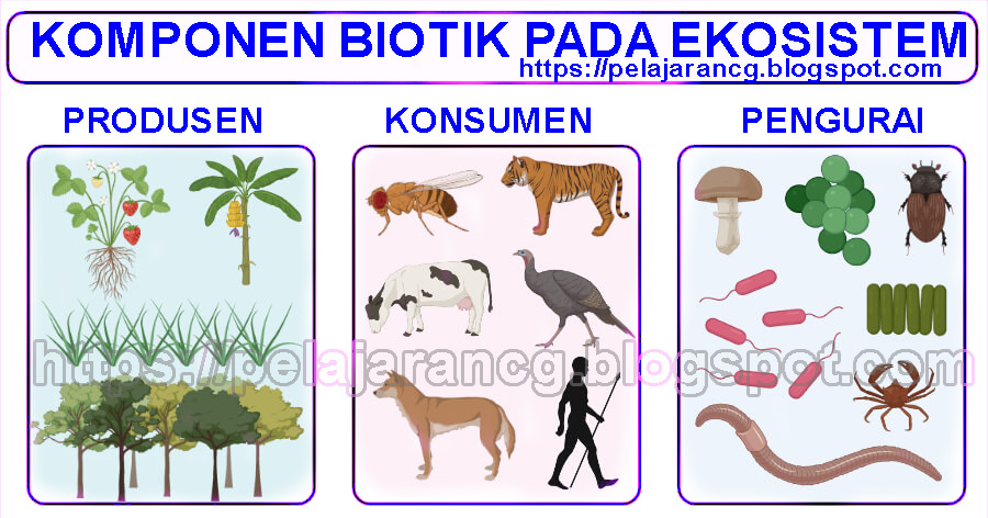 Detail Contoh Unsur Biotik Nomer 7