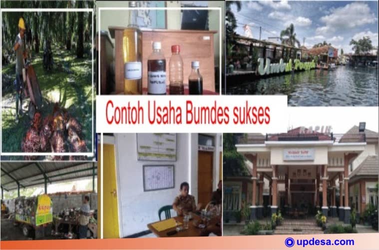 Contoh Usaha Bumdes - KibrisPDR