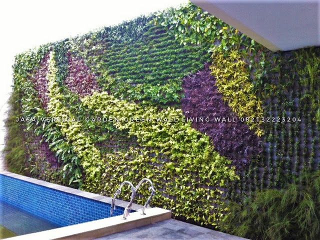 Detail Contoh Vertical Garden Nomer 22