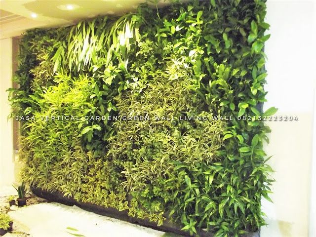 Detail Contoh Vertical Garden Nomer 4