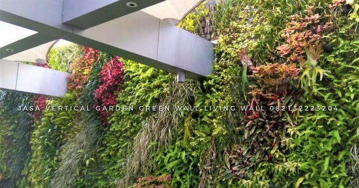 Detail Contoh Vertical Garden Nomer 36