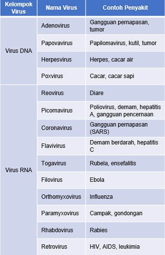 Detail Contoh Virus Rna Nomer 2