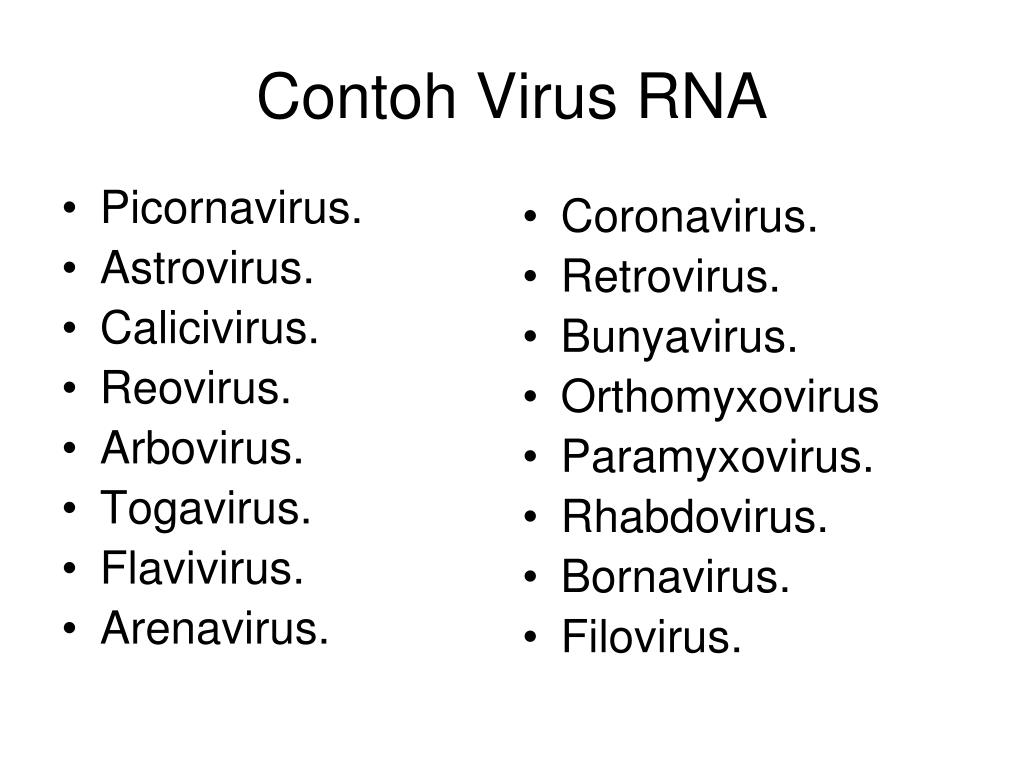 Detail Contoh Virus Rna Nomer 13