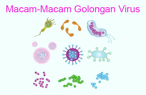 Detail Contoh Virus Rna Nomer 5