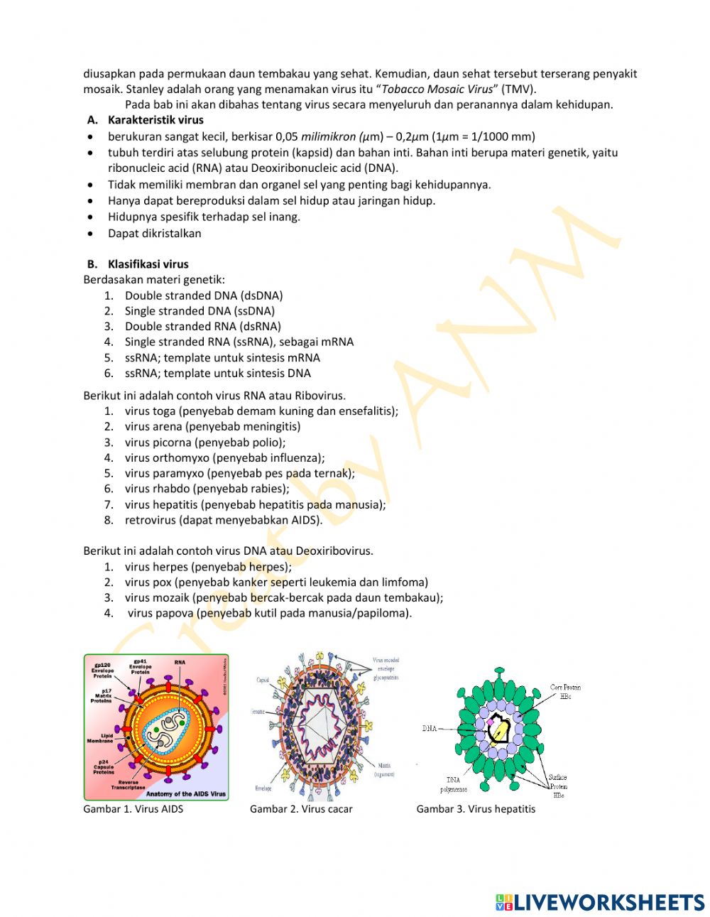 Detail Contoh Virus Rna Nomer 49