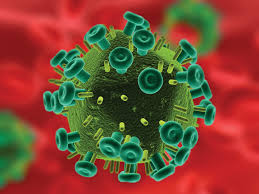 Detail Contoh Virus Rna Nomer 7