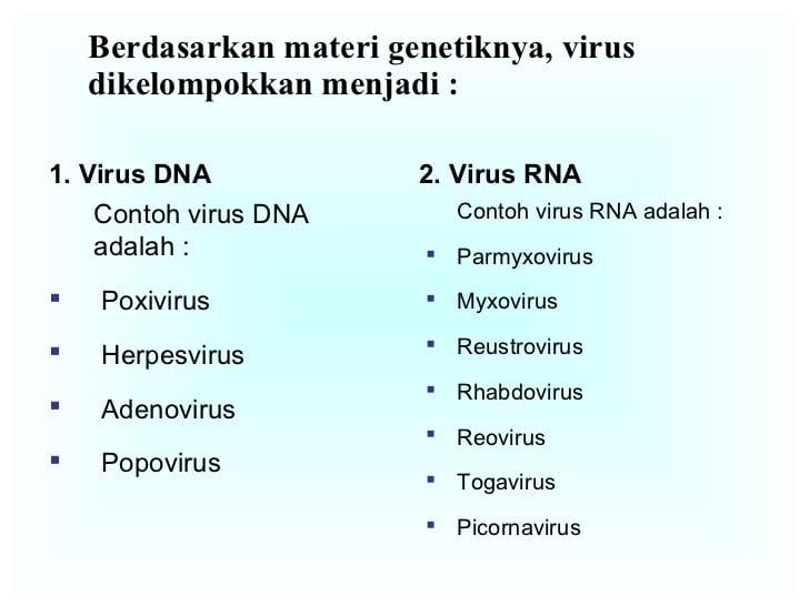 Detail Contoh Virus Rna Nomer 8