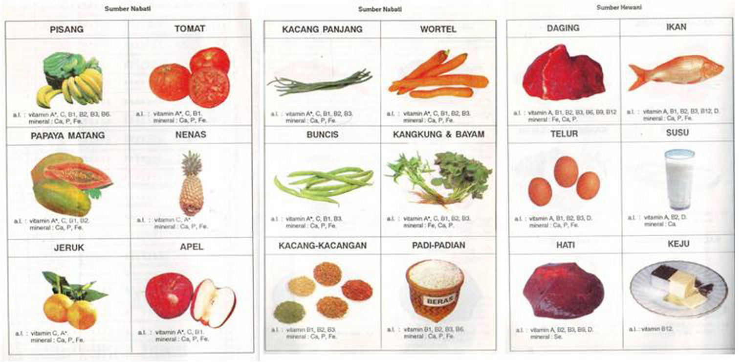 Detail Contoh Vitamin A Nomer 20