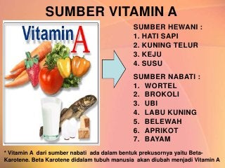 Detail Contoh Vitamin A Nomer 23