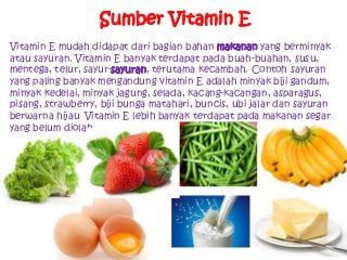 Detail Contoh Vitamin A Nomer 31