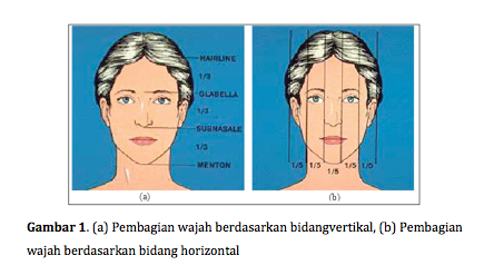 Detail Contoh Wajah Simetris Nomer 42