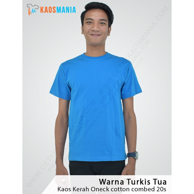 Detail Contoh Warna Biru Turkis Nomer 25