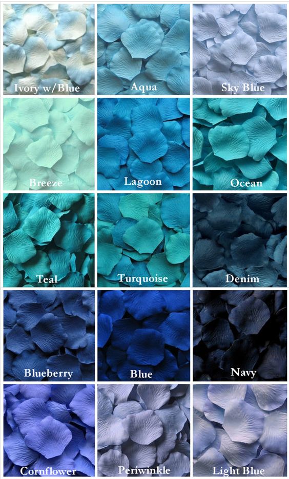 Detail Contoh Warna Biru Turkis Nomer 47