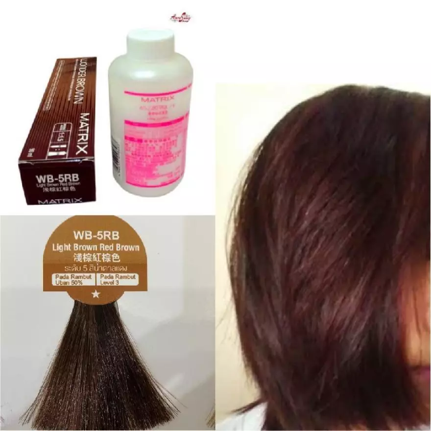 Detail Contoh Warna Cat Rambut Matrix Nomer 16