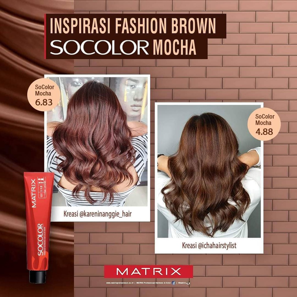 Detail Contoh Warna Cat Rambut Matrix Nomer 4