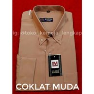 Detail Contoh Warna Coklat Muda Nomer 36