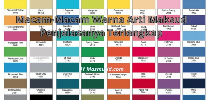 Detail Contoh Warna Netral Nomer 24