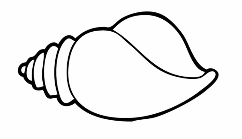 Detail Muscheln Malen Einfach Nomer 8
