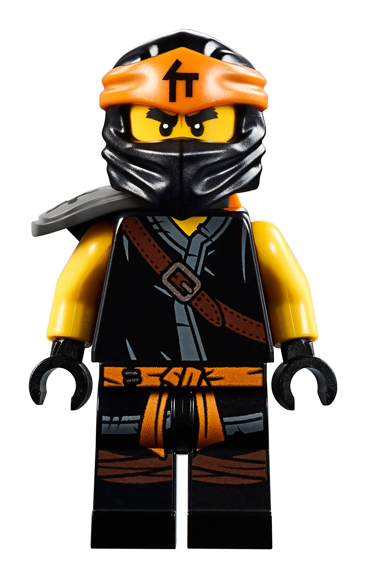 Detail Ninjago Eisdrache Nomer 19