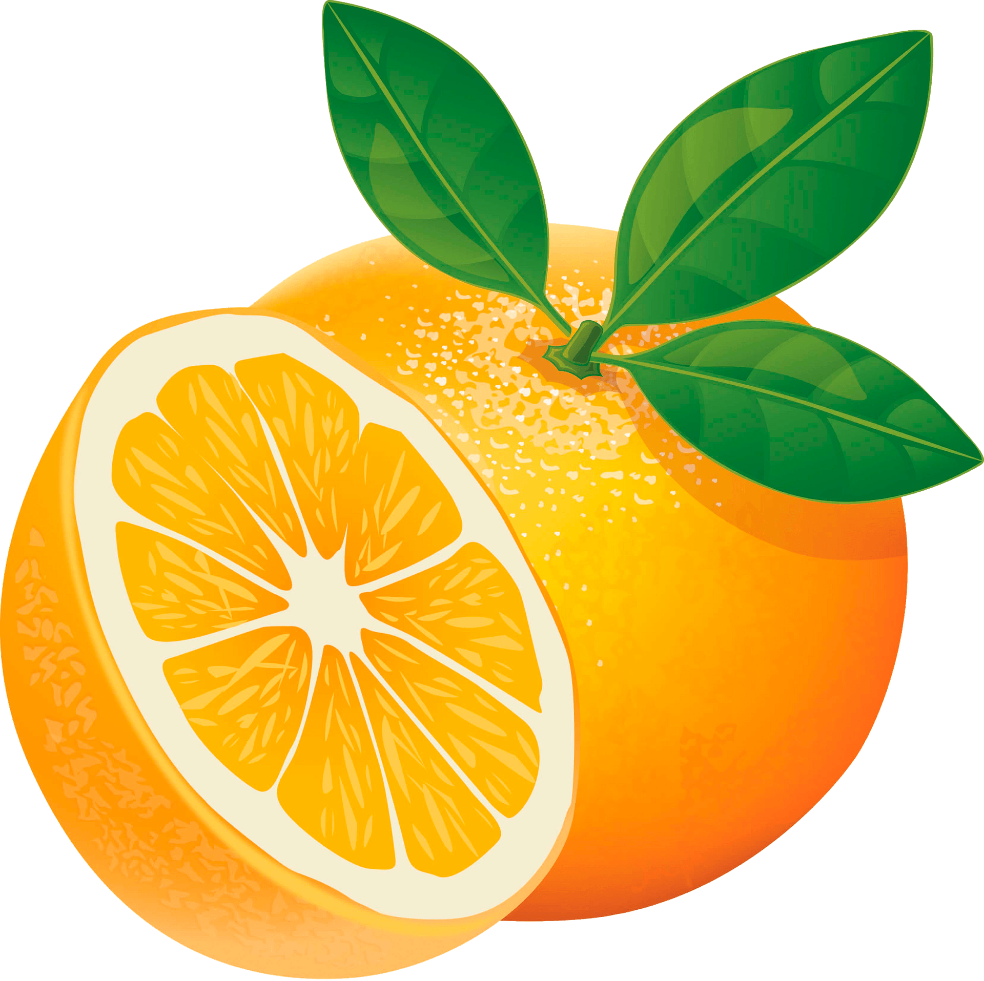 Orange Bilder - KibrisPDR