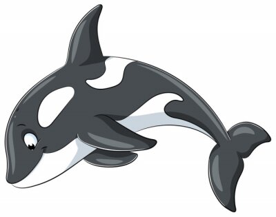 Detail Orca Wal Malen Nomer 19