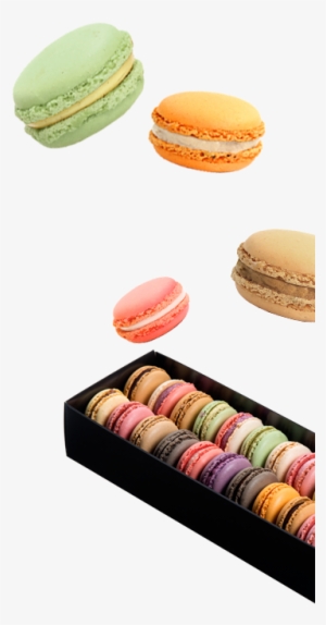 Detail Rosa Macarons Nomer 20