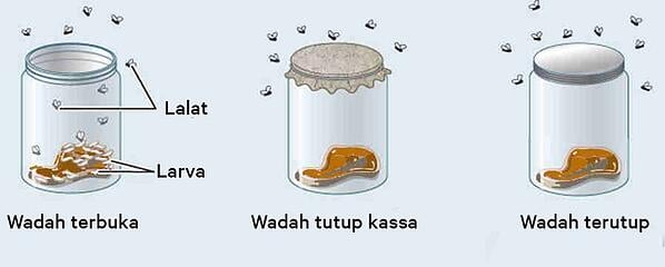 Gambar Percobaan Aristoteles - KibrisPDR