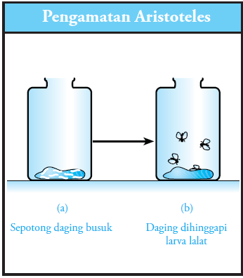 Detail Gambar Percobaan Aristoteles Nomer 4