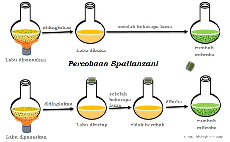 Detail Gambar Percobaan Aristoteles Nomer 31