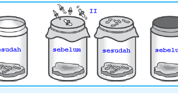 Detail Gambar Percobaan Aristoteles Nomer 32